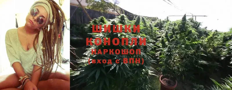 Каннабис SATIVA & INDICA  Гдов 